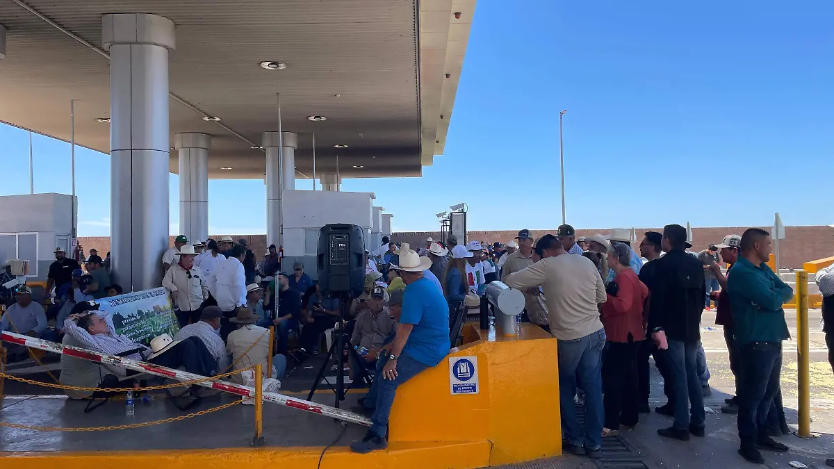 WhatsApp Image 2026-04-06 at 12.35.05 PM (2)