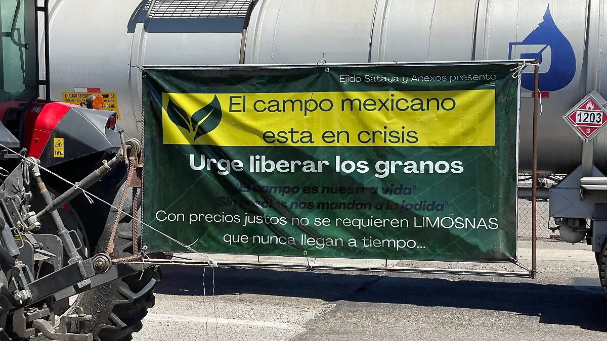 WhatsApp Image 2026-04-06 at 12.35.04 PM (1)