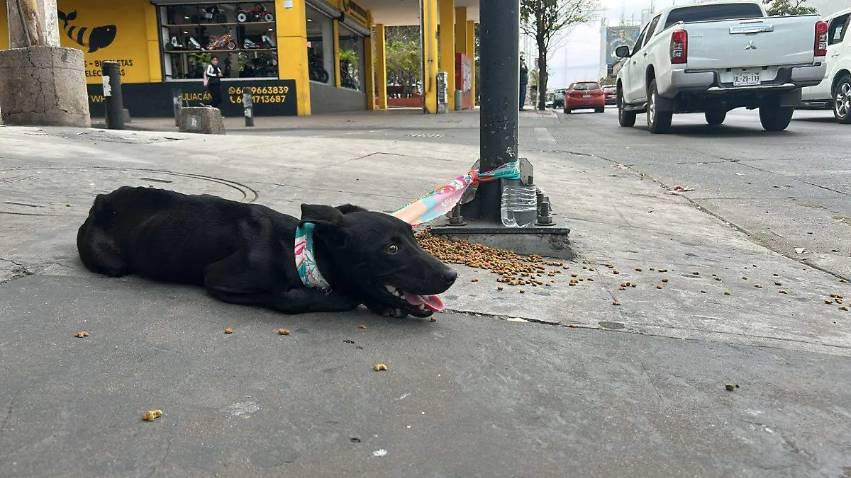 WhatsApp Image 2026-04-07 at 1.14.21 PM