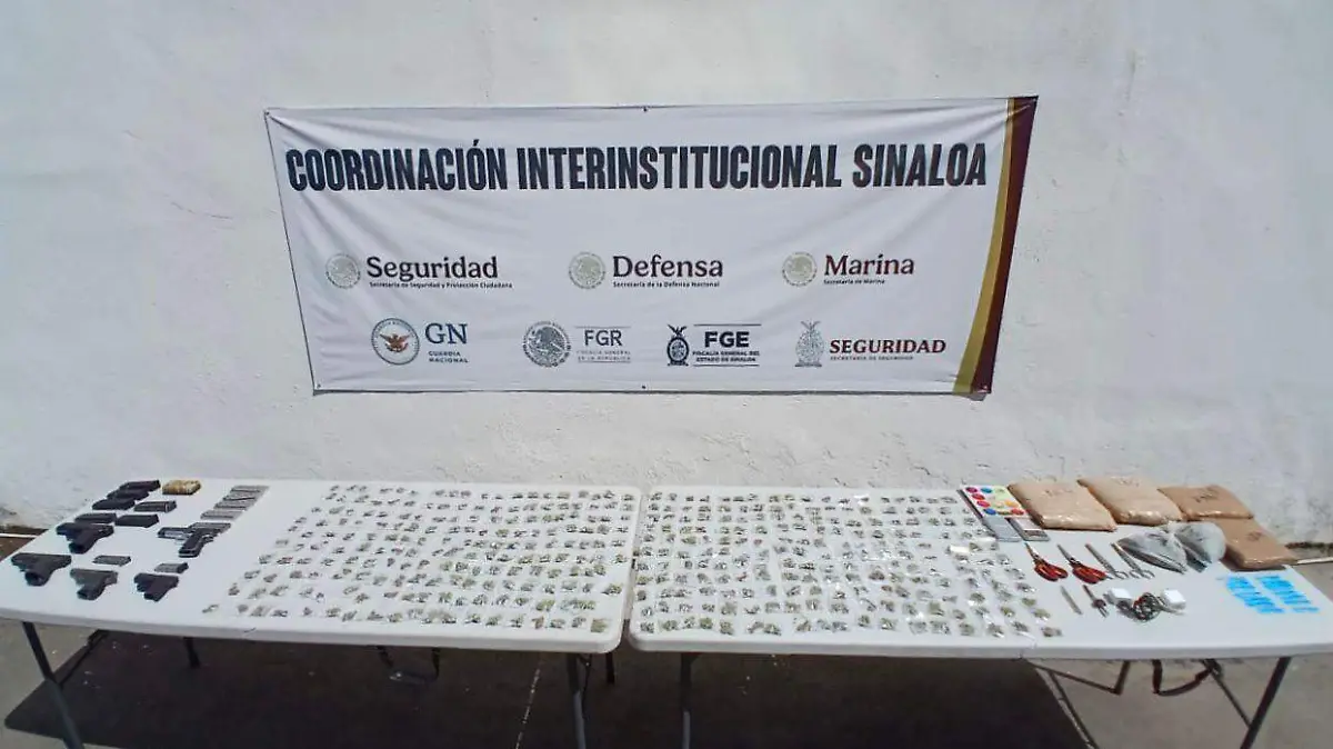 aseguramiento-penal-abril