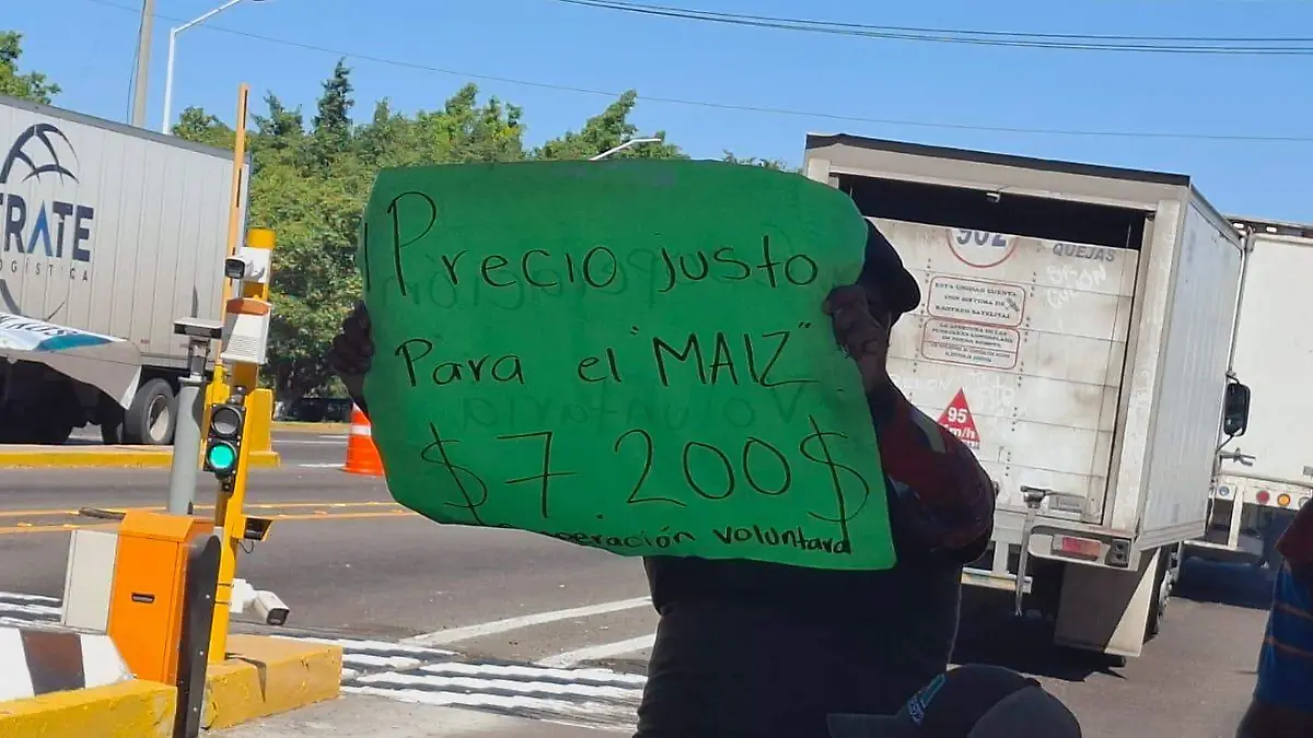 cd25c32b-07e1-4918-ab95-80b214da2056