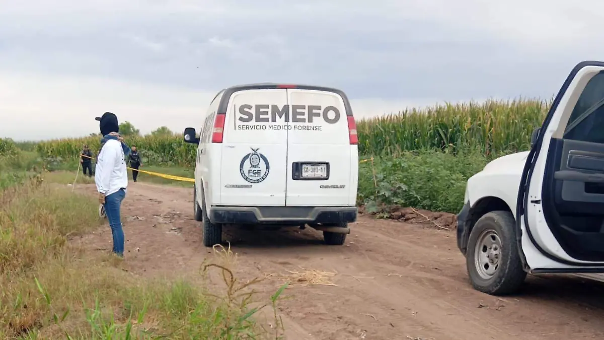 WhatsApp Image 2026-04-11 at 12.57.27 PM