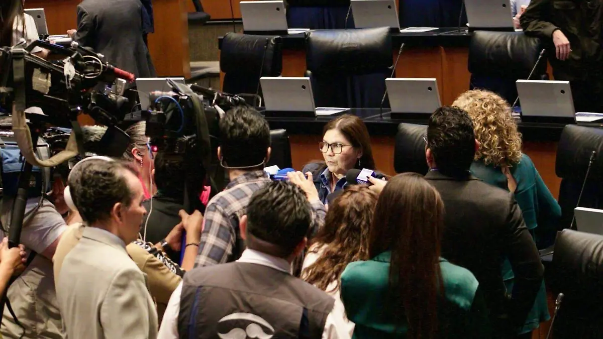 Imelda-Castro-senado