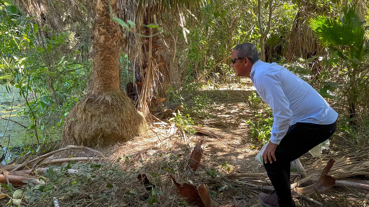 Reserva-Cocodrilo-Eldorado