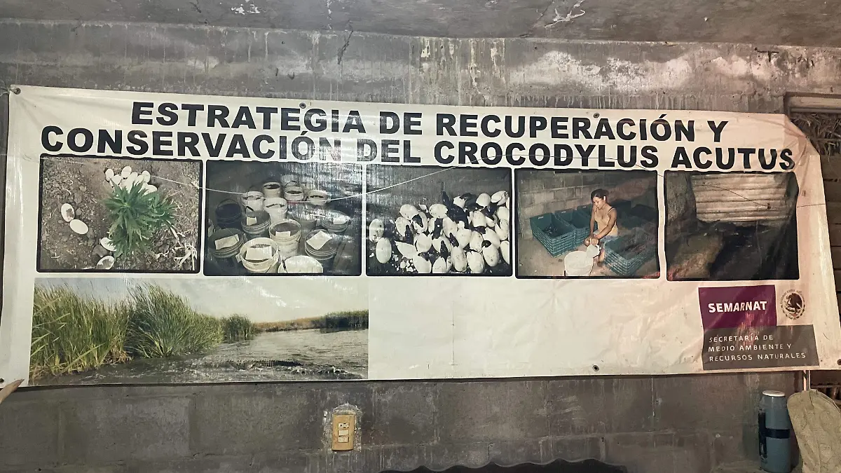 Reserva-Cocodrilo-Eldorado