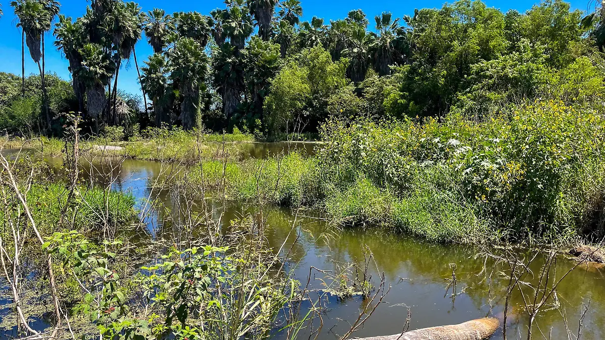 Reserva-Cocodrilo-Eldorado