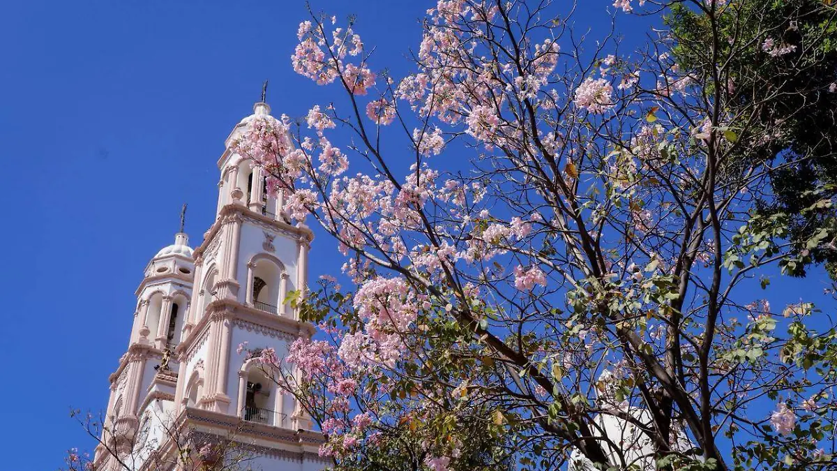 WhatsApp Image 2026-04-18 at 3.12.11 PM