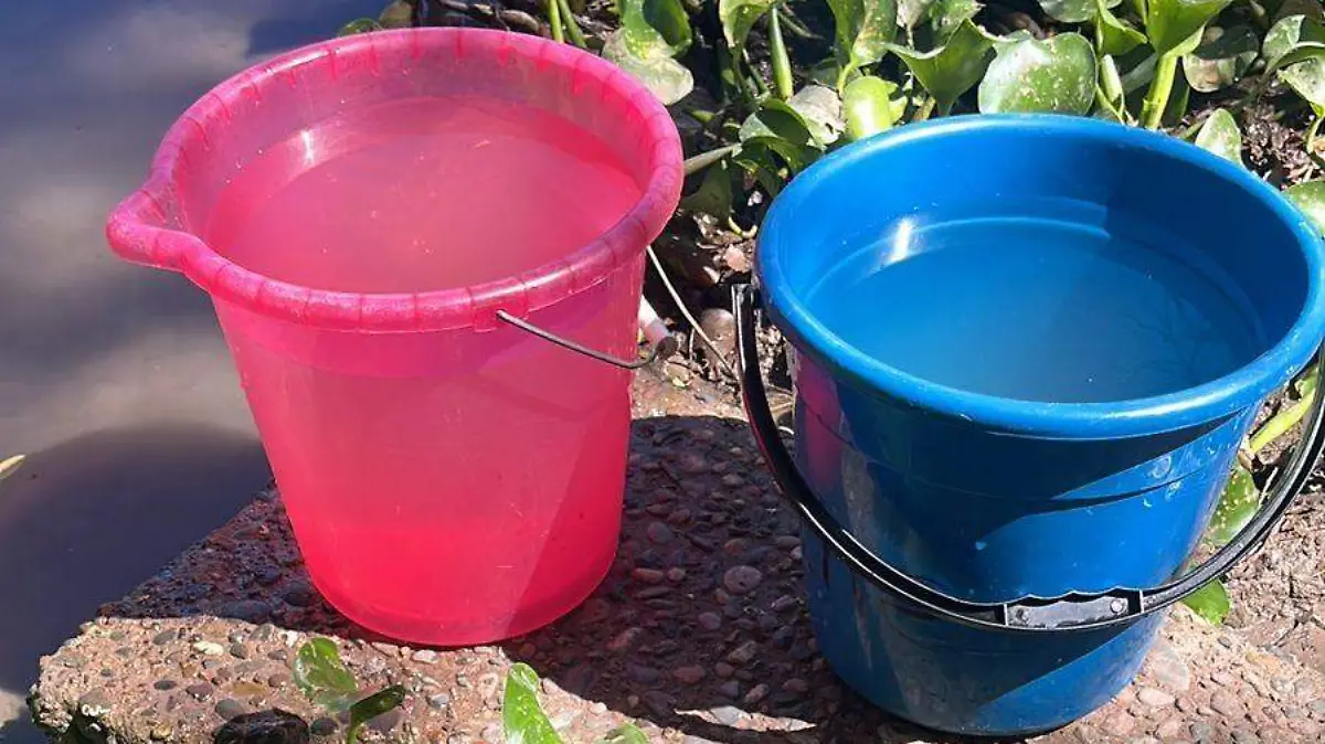 2877196c-516b-4f81-a9c2-065e63910a23