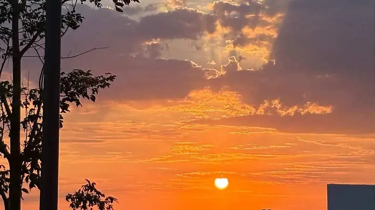 WhatsApp Image 2026-04-21 at 8.54.53 AM