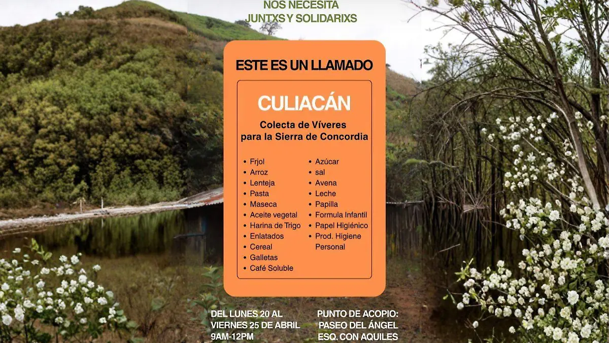 WhatsApp Image 2026-04-21 at 8.58.51 AM