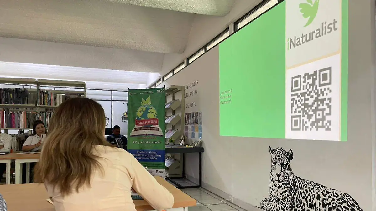 Naturalist-culiacán-silvestre