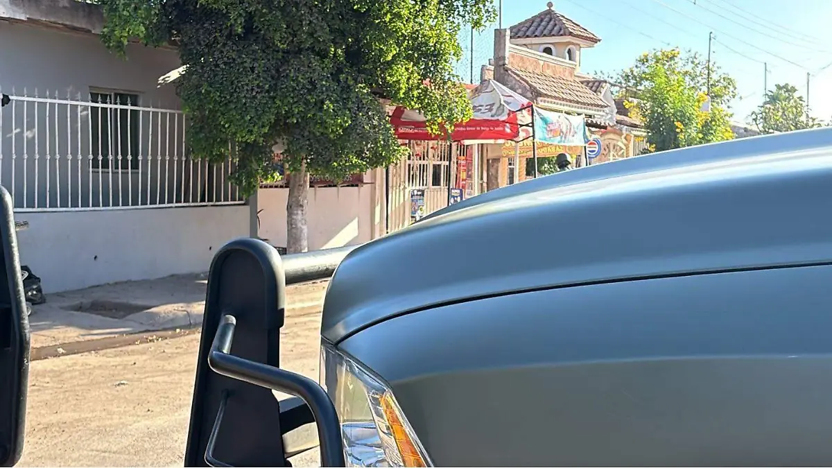 abarrites - juntas - humaya