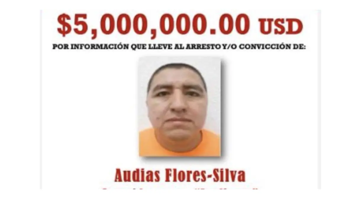 Diseño sin título (16)