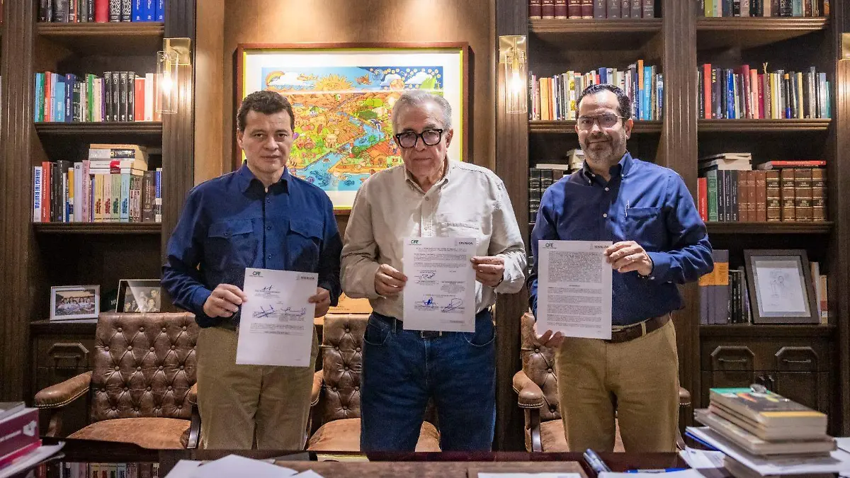 Subsidio-luz-cfe-rocha