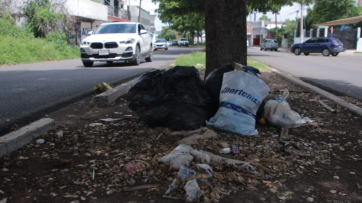 basureros-baldíos-basura-contaminación-9