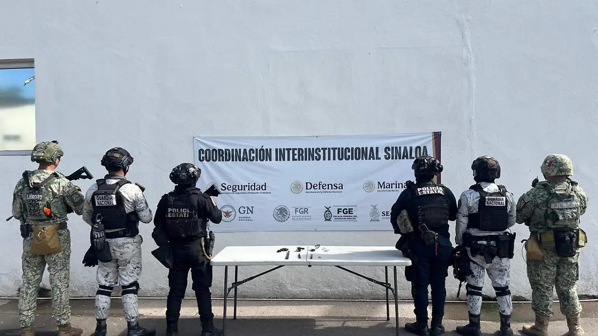 Aseguramiento-penal