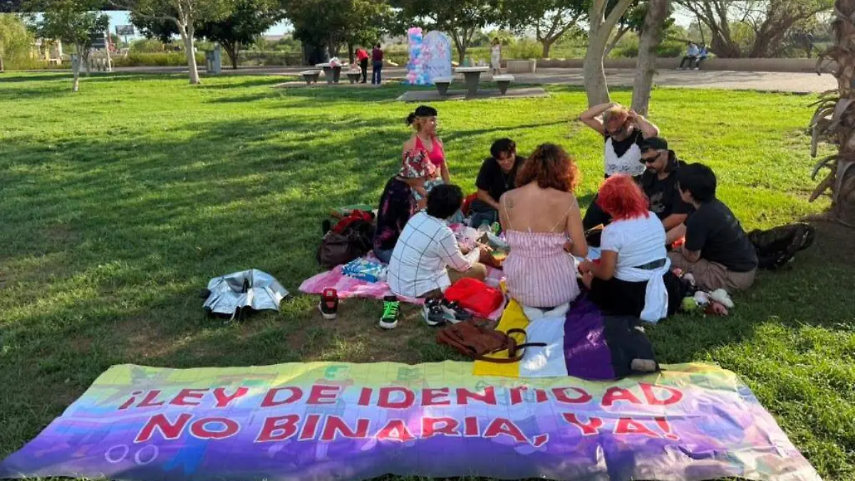 picnic no binarias