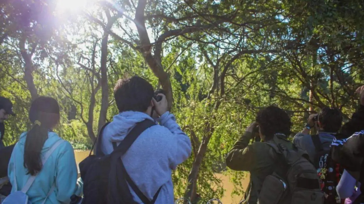 Recorrido para descubrir la vida silvestre