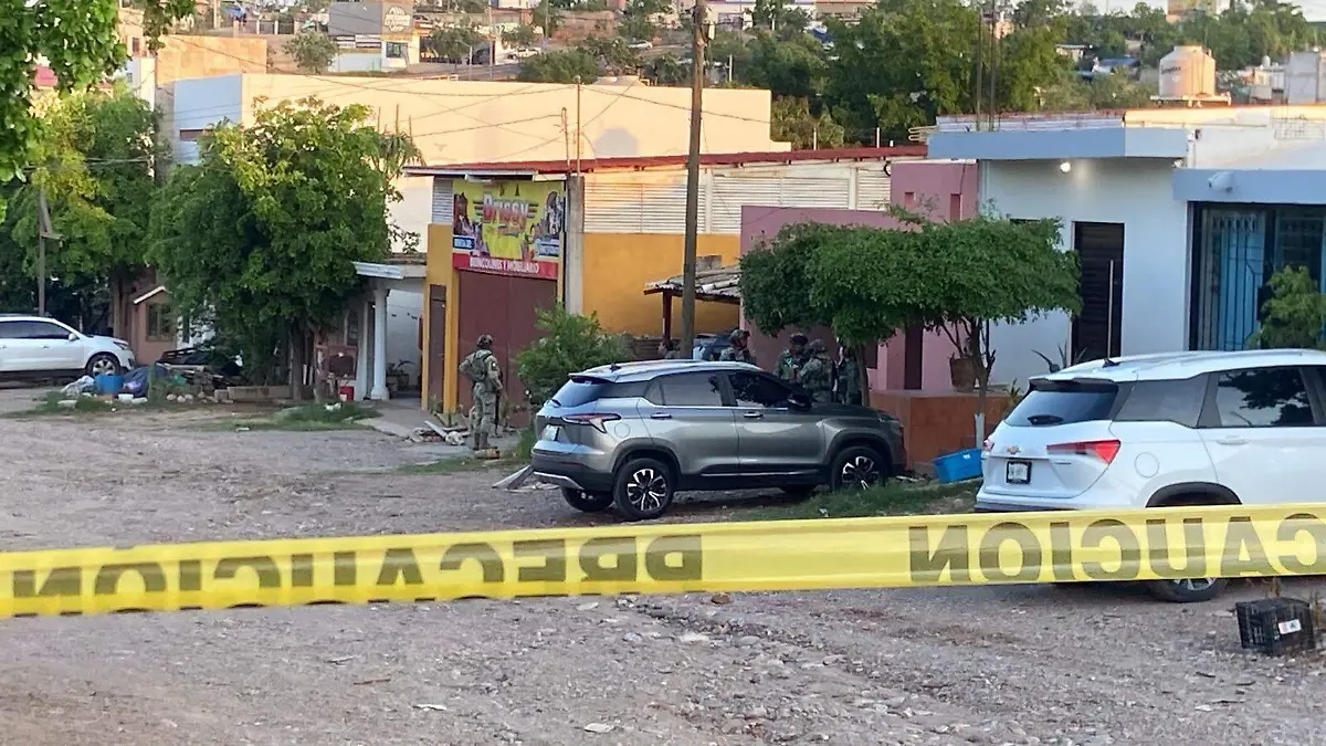 Ejecutado en la colonia proyecto Alfa