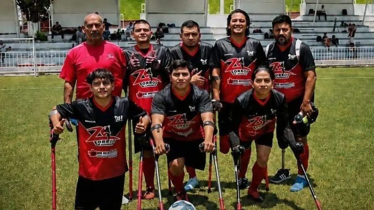 Los zorros de Sinaloa