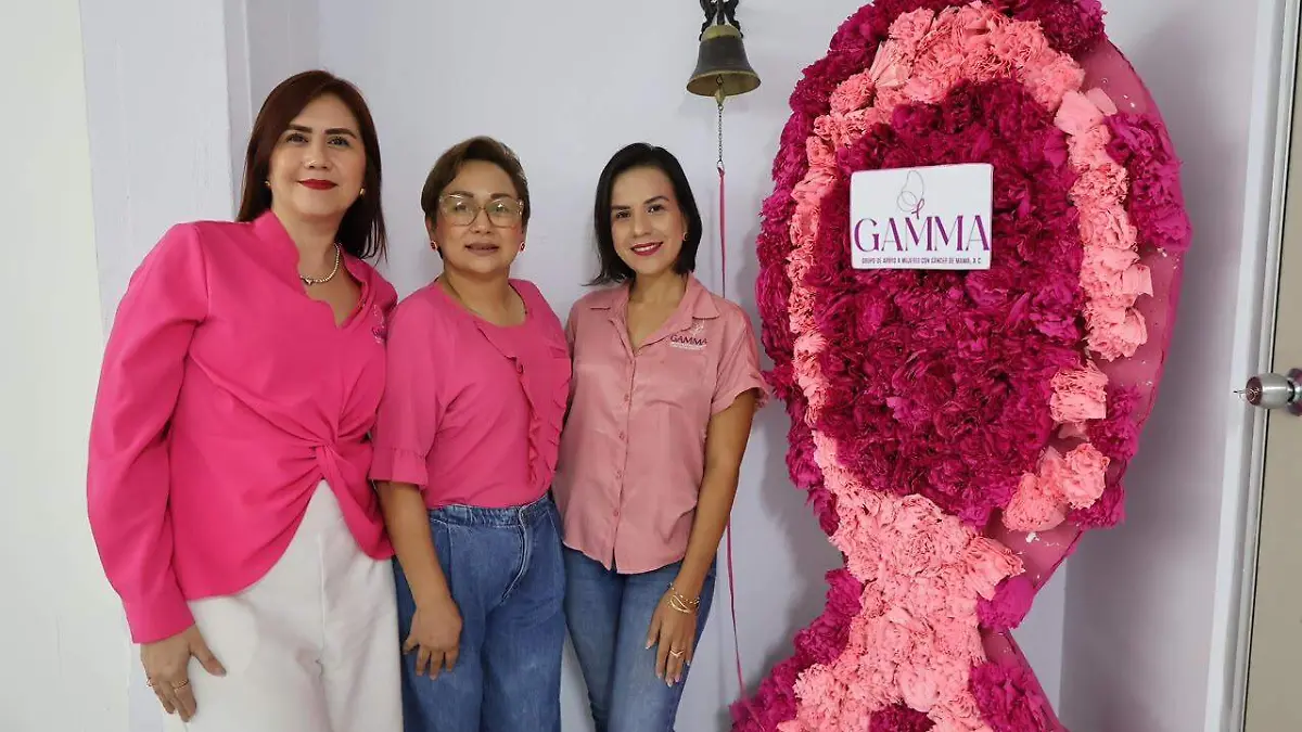 Fundación Gamma 4