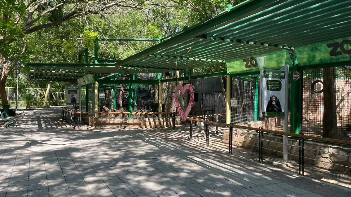 zoo