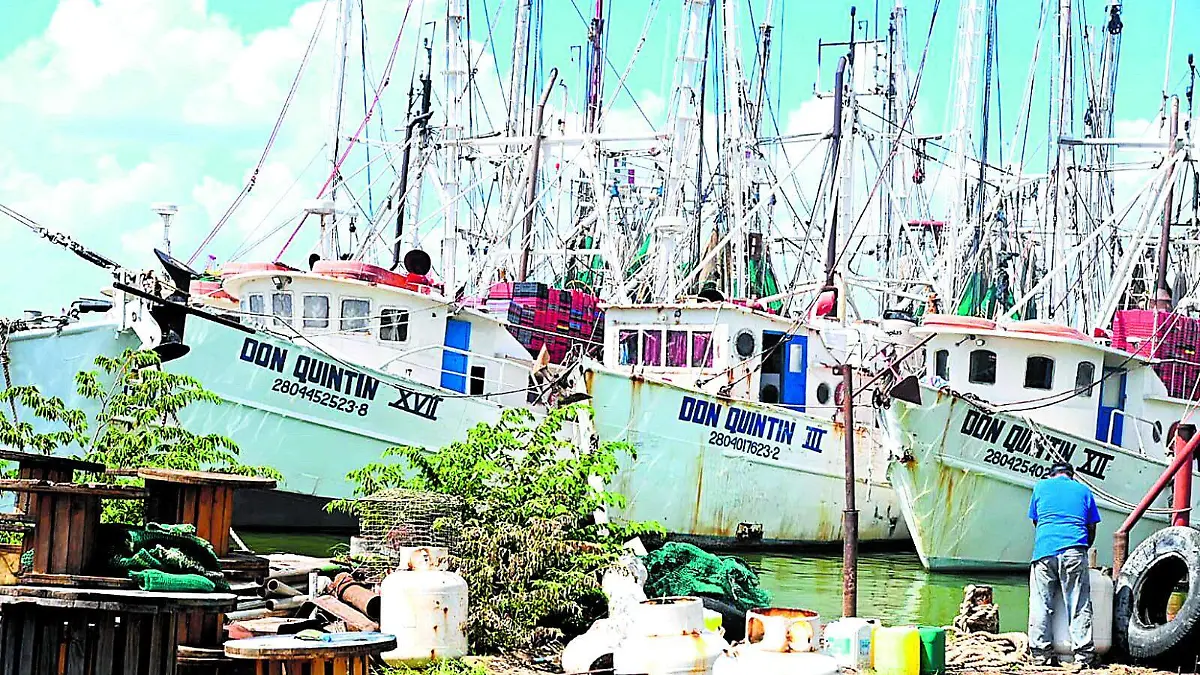 WhatsApp Image 2024-01-14 at 23.05.23