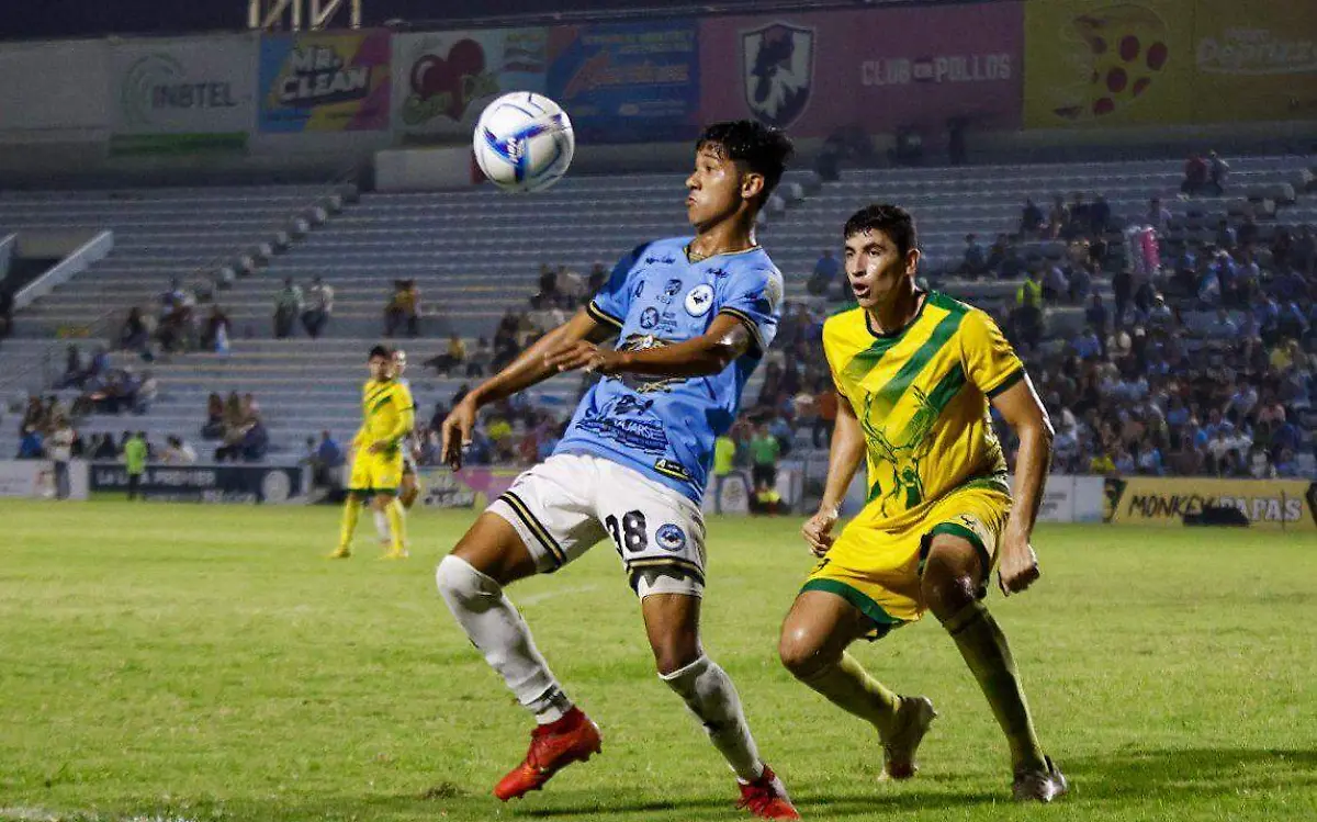 WhatsApp Image 2024-04-30 at 12.33.56 (1)