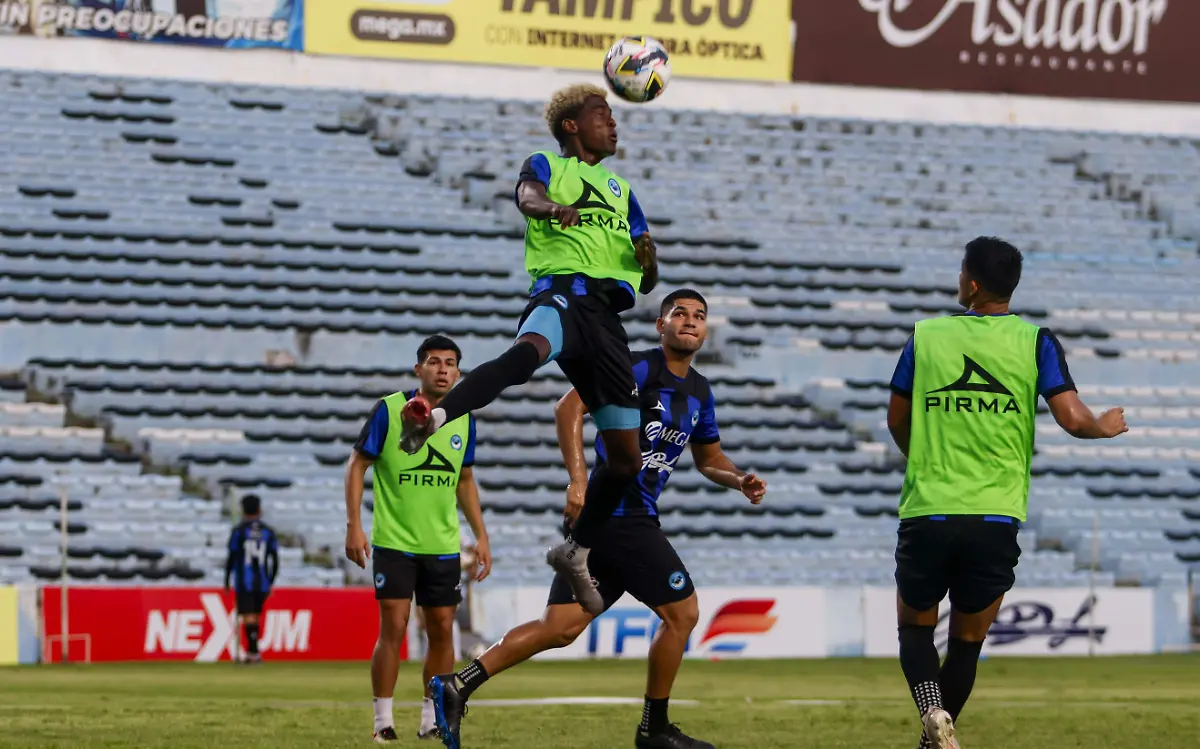 JAIBA PRINCIPAL PORTADA