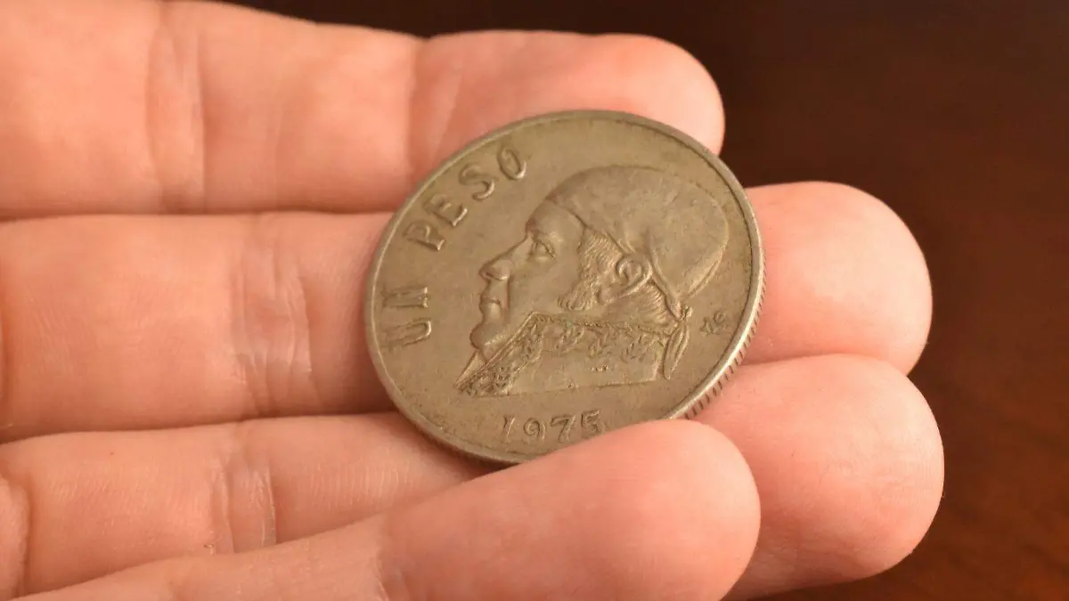 Moneda de un peso de la familia AA