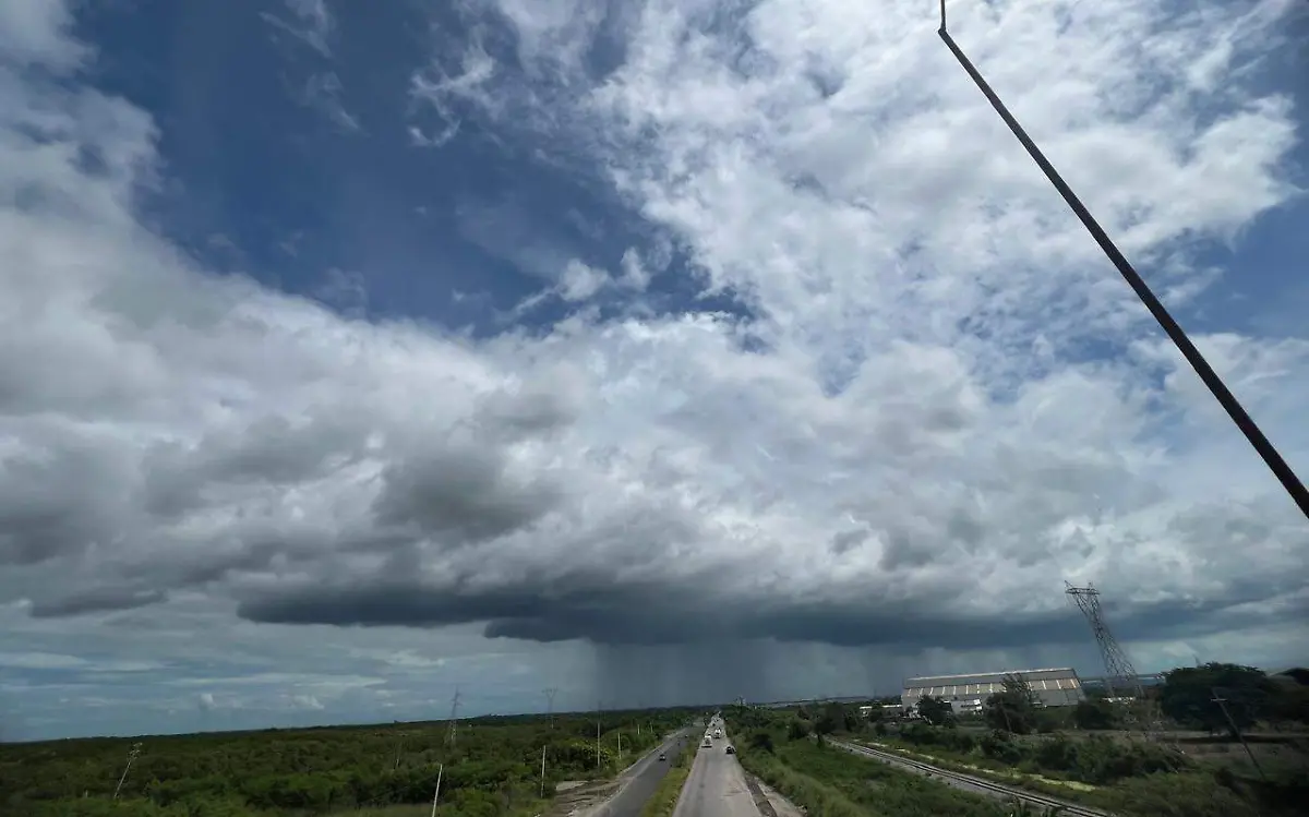 WhatsApp Image 2024-10-06 at 12.23.57 PM (2)