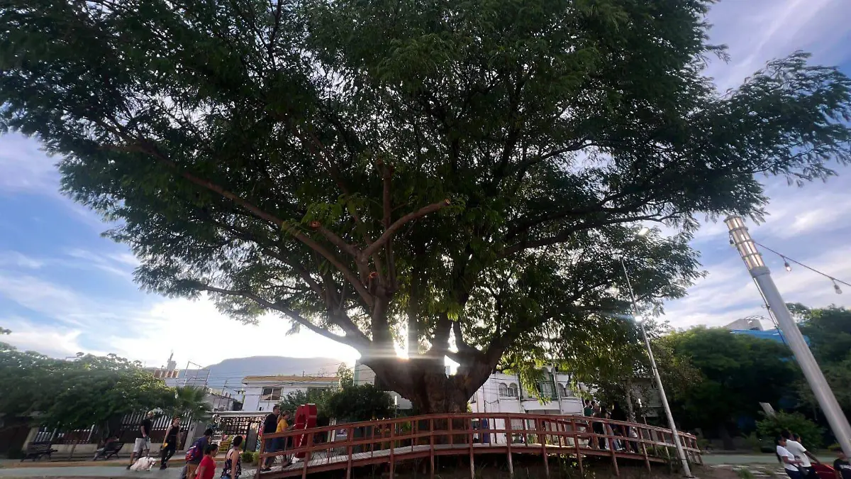 La ciudad ha recibido a 93 mil visitantes, un incremento del 77% en comparación con el año pasado