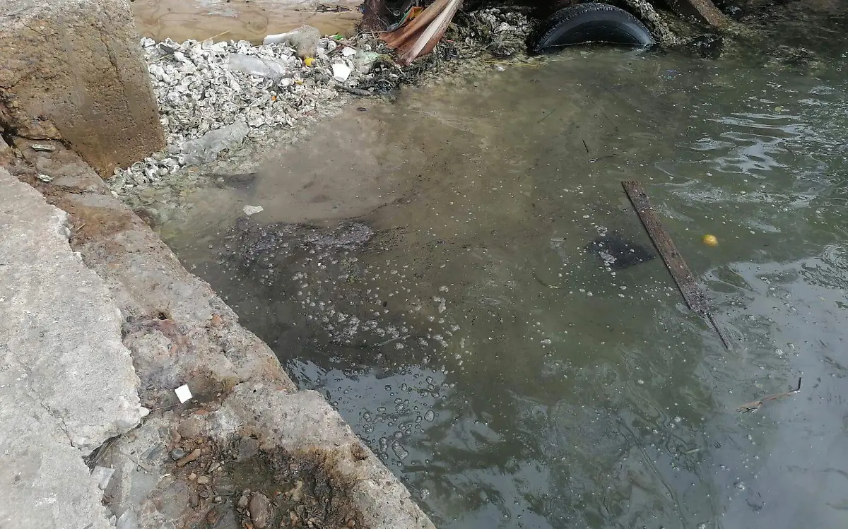 Reportan restos de hidrocarburo en el río Pánuco, del lado de Tampico Mario Cruces (2)