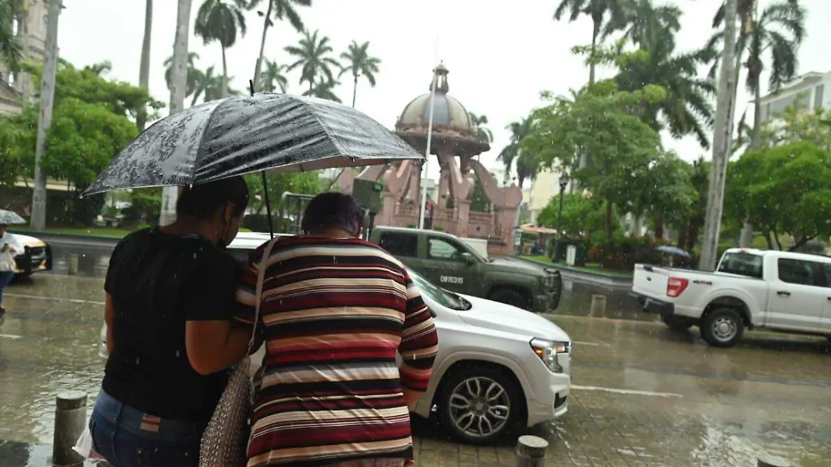 WhatsApp Image 2024-10-19 at 2.09.20 PM