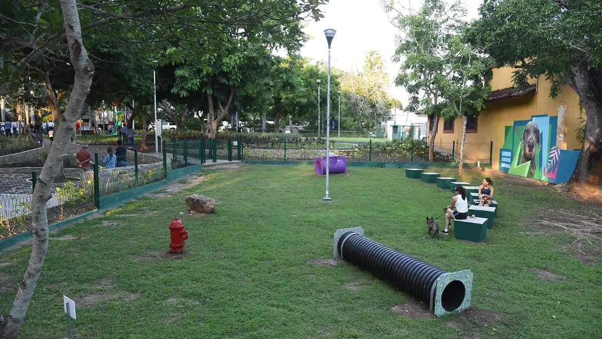 Durante las obras de rehabilitación, se aprovechó para incluir un área para mascotas