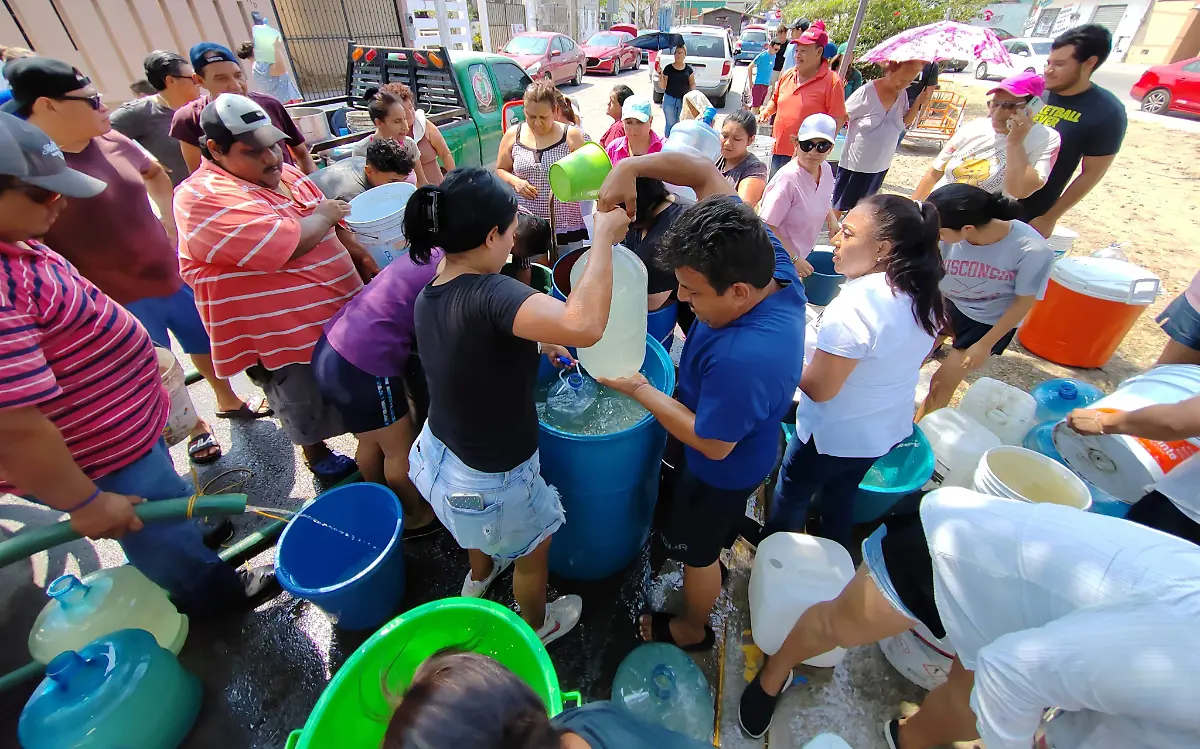 WhatsApp Image 2024-06-01 at 11.54.58