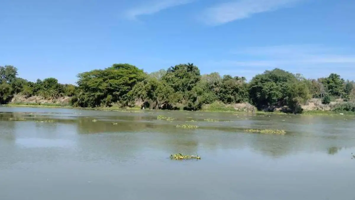 Piden productores trabajos de desazolve en el río Pánuco