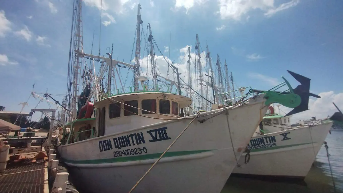 Se espera que este año solo 120 de los 180 barcos zarpen