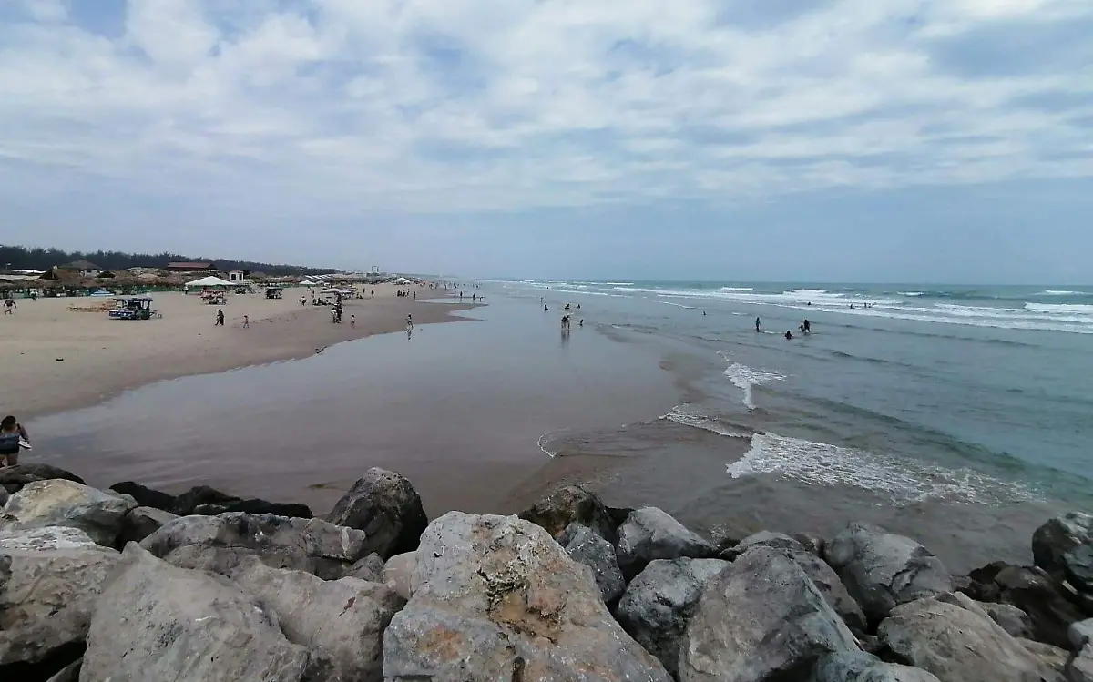 WhatsApp Image 2024-03-25 at 19.17.58