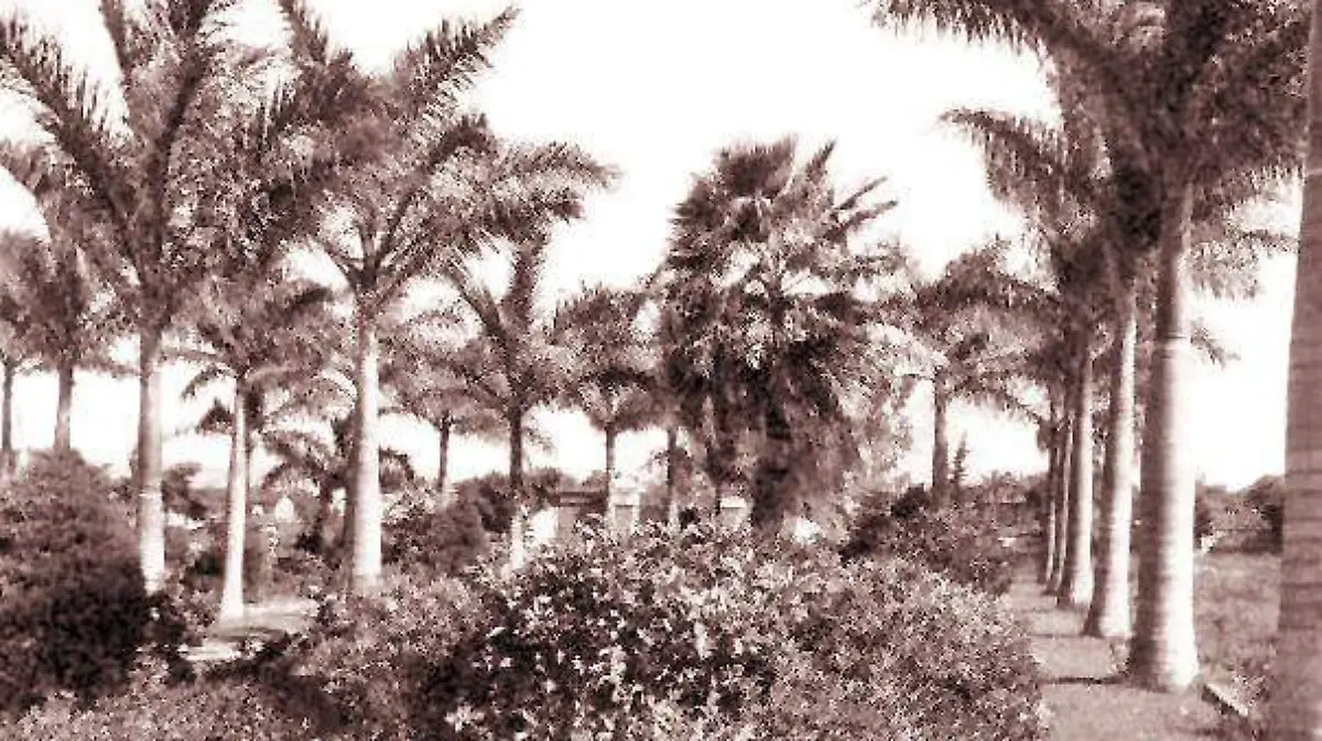 Esa zona tenía una diversa vegetación