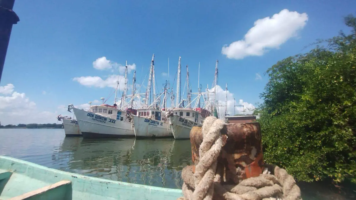 El sector camaronero da sustento a más de 10,000 familias en la región  