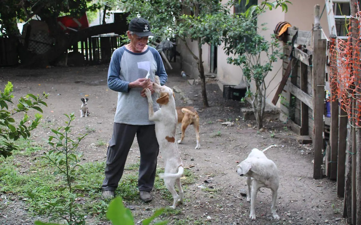 José Abel, un hombre de Altamira que usa su pensión para rescatar a perros abandonados  
