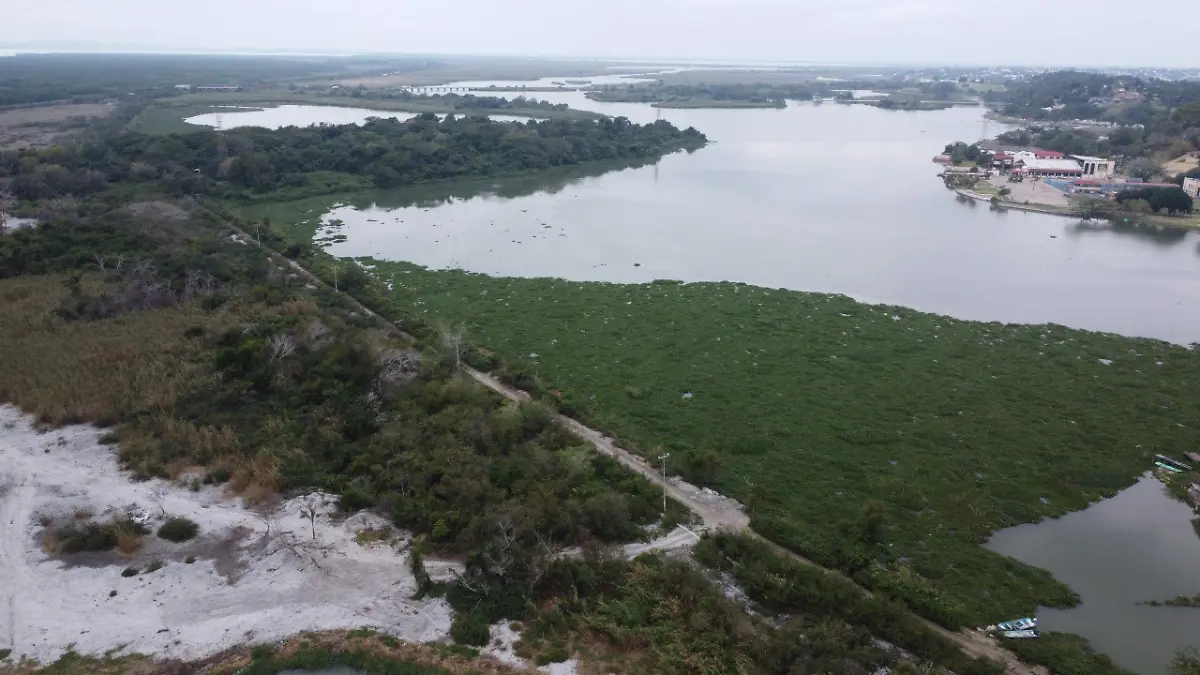Falta de lluvias afecta niveles en la laguna del Chairel