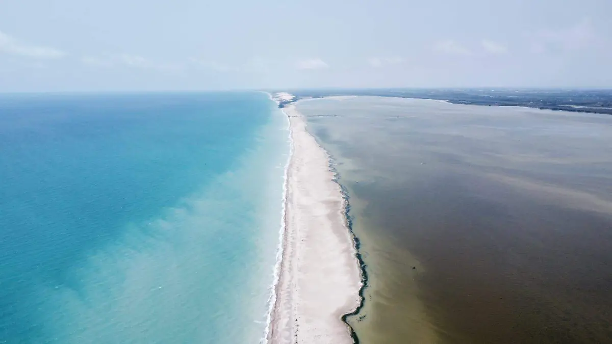 A punto de desaparcer