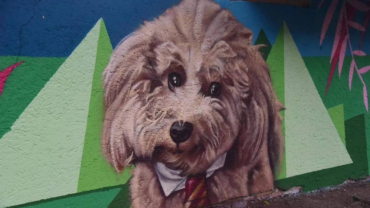 Tener un animal de compañía ayuda a disminuir los índices de estrés