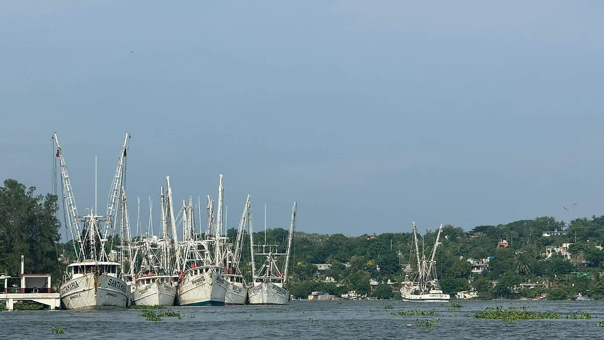 De las 180 embarcaciones solo 120 zarparon este año