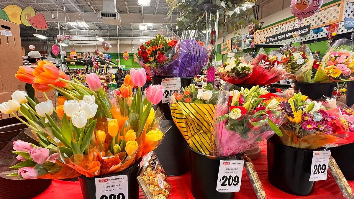 WhatsApp Image 2024-05-08 at 7.46.21 PM (3)