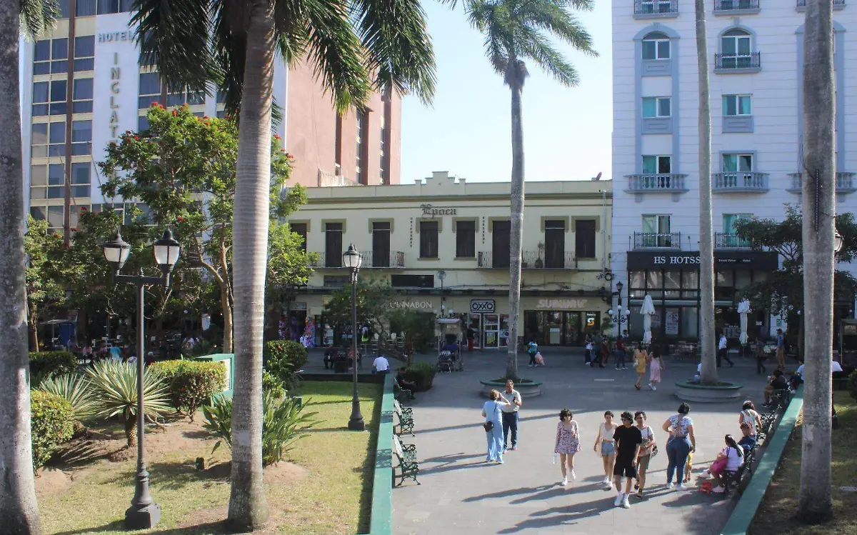 WhatsApp Image 2024-07-18 at 19.47.59