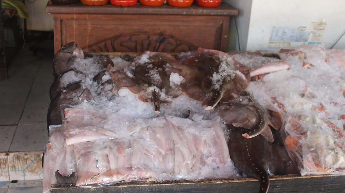 Mantarraya: la exótica novedad que conquista el mercado de Altamira 