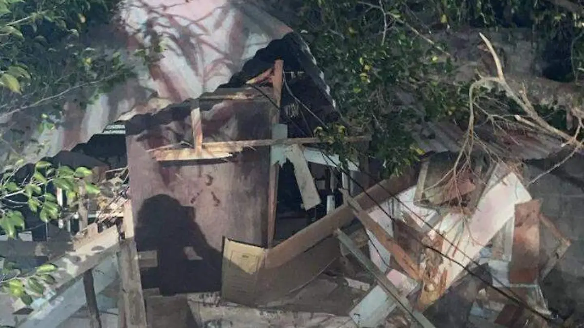 Árbol cae al interior de una vivienda en Ciudad Madero y lesiona a abuelita Sinarem (2)